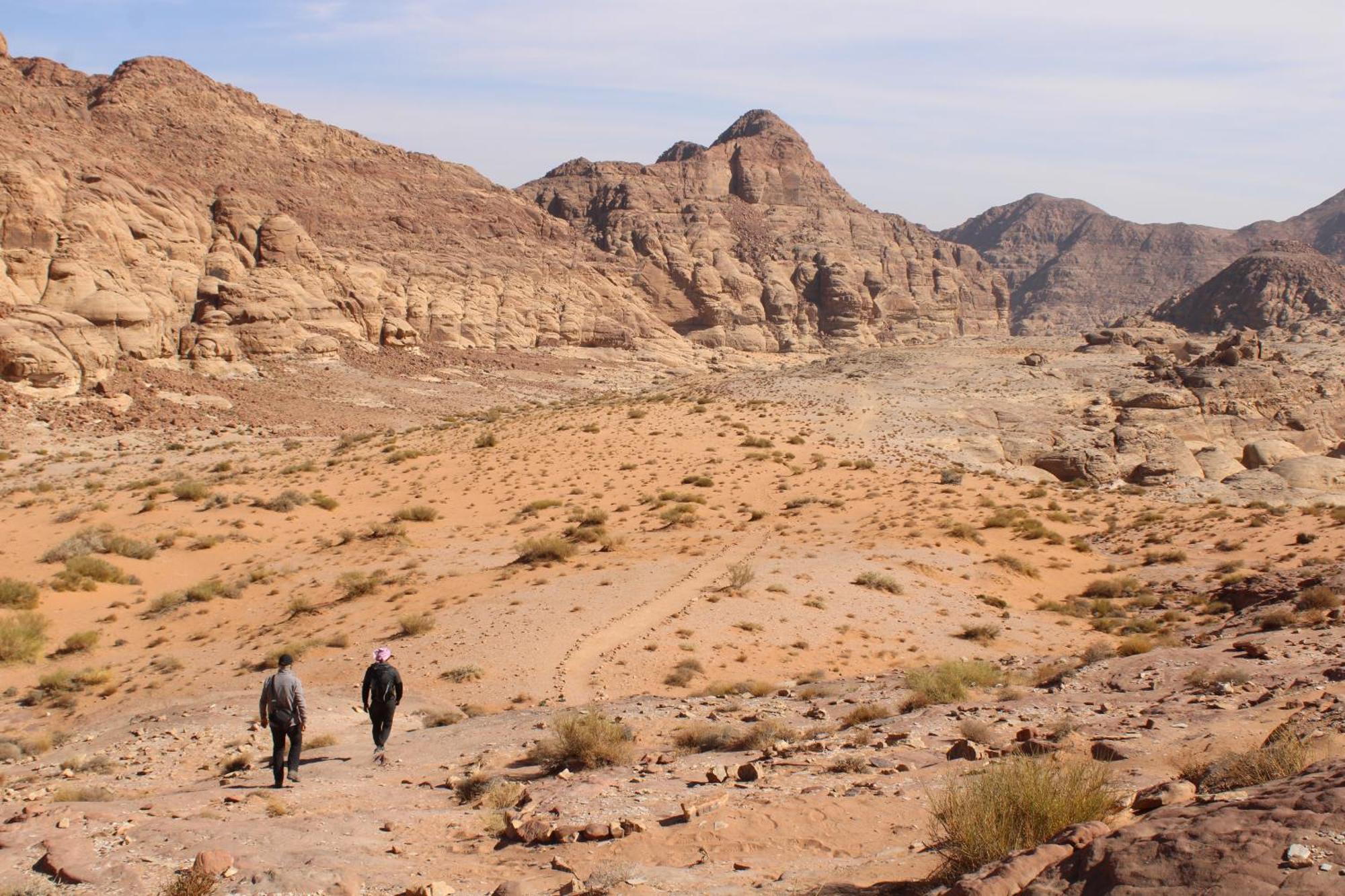 Wadi Rum View Camp Buitenkant foto